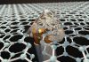 Bulletproof Graphene Becomes Harder On Impact, Finds New Research
