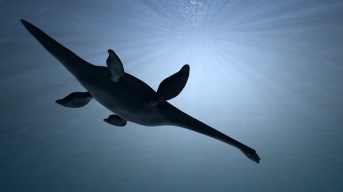 Giant Marine Plesiosaur Discovered, says new research