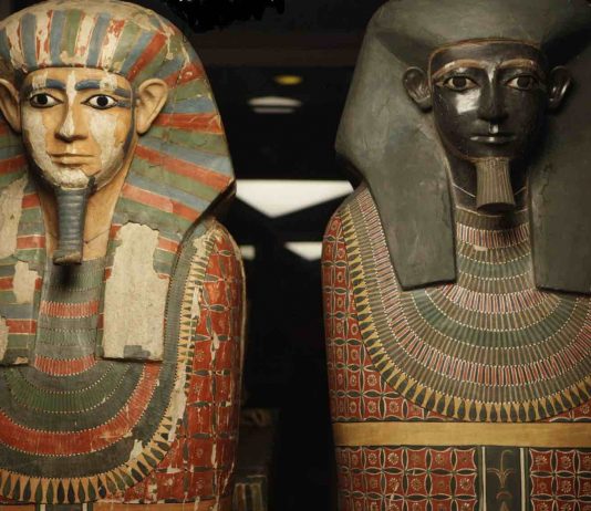 Egyptian Mummies Shared Mommy, DNA Analysis Shows Egyptian Mummies Shared Mommy, DNA Analysis Shows