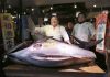 Giant Tuna sells for $632,000 at Tokyo Auction