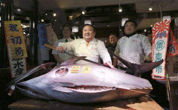 Giant Tuna sells for $632,000 at Tokyo Auction Giant Tuna sells for $632,000 at Tokyo Auction