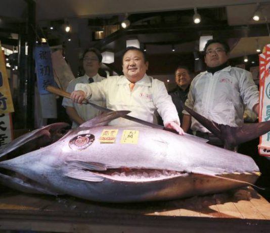 Giant Tuna sells for $632,000 at Tokyo Auction Giant Tuna sells for $632,000 at Tokyo Auction