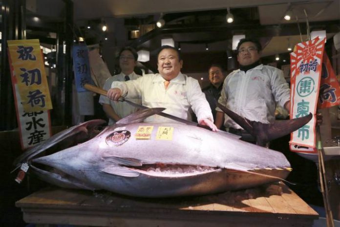 Giant Tuna sells for $632,000 at Tokyo Auction
