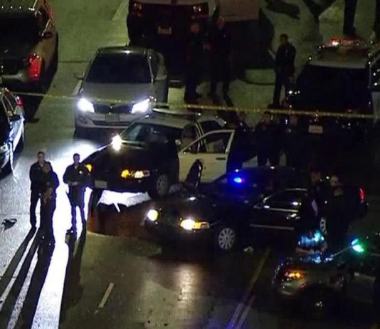 Los Angeles South armed driver shot dead Los Angeles South armed driver shot dead