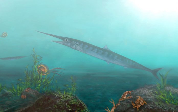 Colombia: Tourist aids Edmonton paleontologists in discovery of new ancient fish fossil
