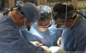 Dutch law makes any adult an organ donor Dutch law makes any adult an organ donor