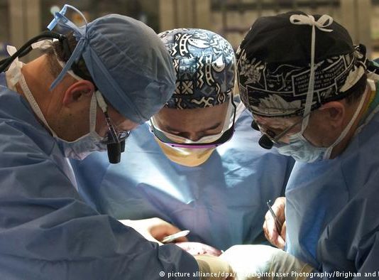 Dutch law makes any adult an organ donor Dutch law makes any adult an organ donor