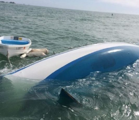 Tanner Broadwell and Nikki Walsh, couple sells all for sailboat venture, it sinks on day 2 Tanner Broadwell and Nikki Walsh, couple sells all for sailboat venture, it sinks on day 2