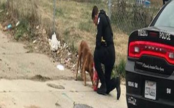 Fresno police officer William McCarty tops to feeds hungry Fresno police officer William McCarty tops to feeds hungry