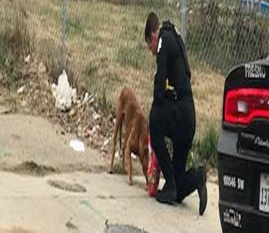 Fresno police officer William McCarty tops to feeds hungry Fresno police officer William McCarty tops to feeds hungry