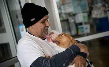Lewis Jimenez reunited with dog Titus Lewis Jimenez reunited with dog Titus