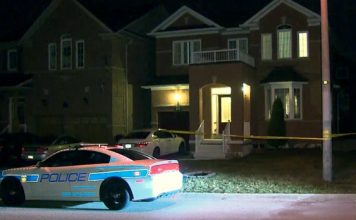 Brampton Man arrested after double shooting (police) Brampton Man arrested after double shooting