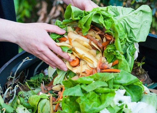 How Canada sucks at reducing food waste How Canada sucks at reducing food waste