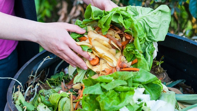How Canada sucks at reducing food waste