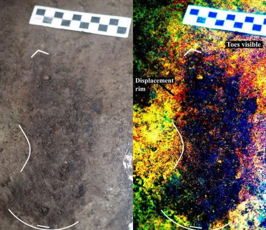 Study: Ancient footprints found in B.C. earliest known in North America Researchers find 13,000-year-old human footprints on B.C. island