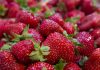 Strawberries recalled over hepatitis A contamination
