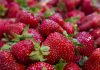 Strawberries recalled over hepatitis A contamination Strawberries recalled over hepatitis A contamination