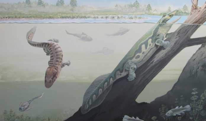 New discovery: A tetrapod fauna from within the Devonian Antarctic Circle