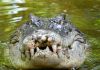 Pastor killed by croc during lake baptism Pastor killed by croc during lake baptism