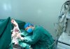 Surgeon Falls Asleep At Operating Table After Performing Six Surgeries