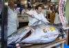 Tuna sold for $4.4m In Tokyo Market