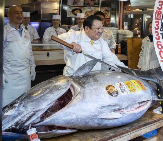 Tuna sold for $4.4m In Tokyo Market Tuna sold for $4.4m In Tokyo Market