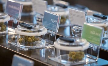 Alberta to lead Canada’s legal pot market (Reports) Alberta to lead Canada's legal pot market (Reports)