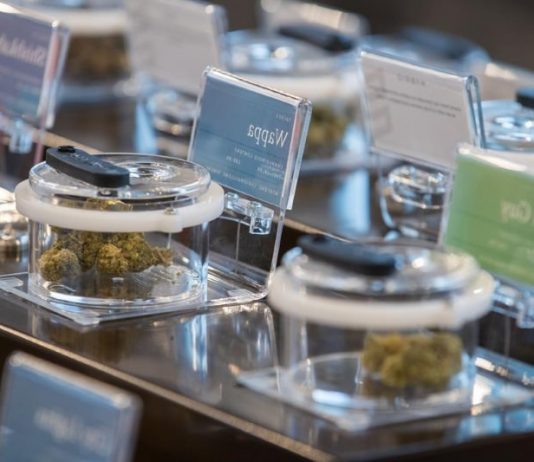 Alberta to lead Canada’s legal pot market (Reports) Alberta to lead Canada's legal pot market (Reports)