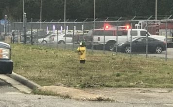 Virginia Naval air station shooting: Sailor injured, shooter killed Virginia Naval air station shooting: Sailor injured, shooter killed