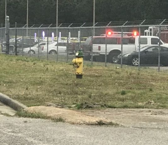 Virginia Naval air station shooting: Sailor injured, shooter killed Virginia Naval air station shooting: Sailor injured, shooter killed