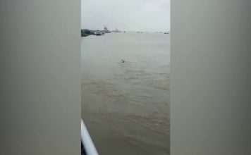 China’s Loch Ness monster: Public Scrambles for Explanations as New Footage China's Loch Ness monster: Public Scrambles for Explanations as New Footage