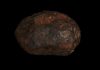 Edscottite Mineral Found inside a Million-Year-Old Meteorite, Report