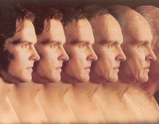 New Study accidentally reveals biological aging may be reversible New Study accidentally reveals biological aging may be reversible