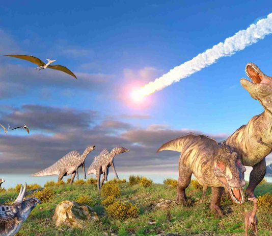 Researchers Unravel Mystery Behind Mass Extinction 420 Millions Years Ago Researchers Unravel Mystery Behind Mass Extinction 420 Millions Years Ago