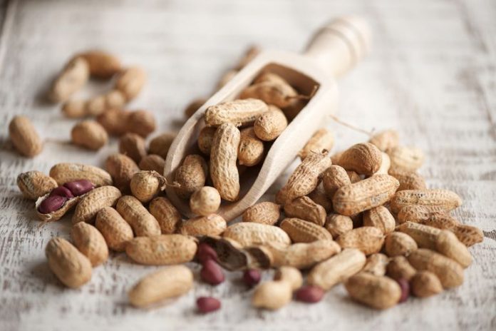 Research suggests babies who eat peanuts less likely to develop allergy