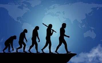 Scientists Place Earliest Modern Humans in Southern Africa Scientists Place Earliest Modern Humans in Southern Africa