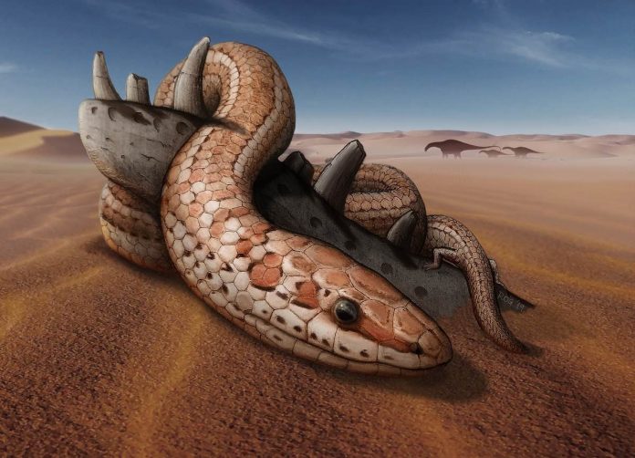 Study: Fossils shed light on snake bite and legs