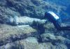 Three ancient shipwrecks discovered off the island of Kasos