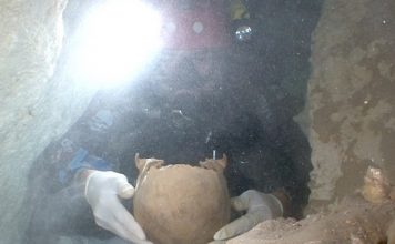 Study: Ancient skulls tell new story about our first settlers Study: Ancient skulls tell new story about our first settlers