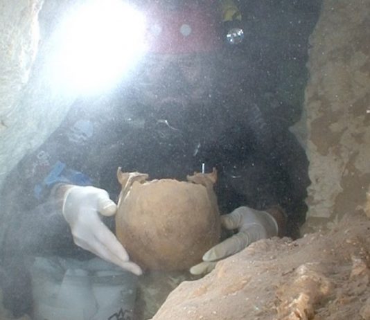 Study: Ancient skulls tell new story about our first settlers Study: Ancient skulls tell new story about our first settlers