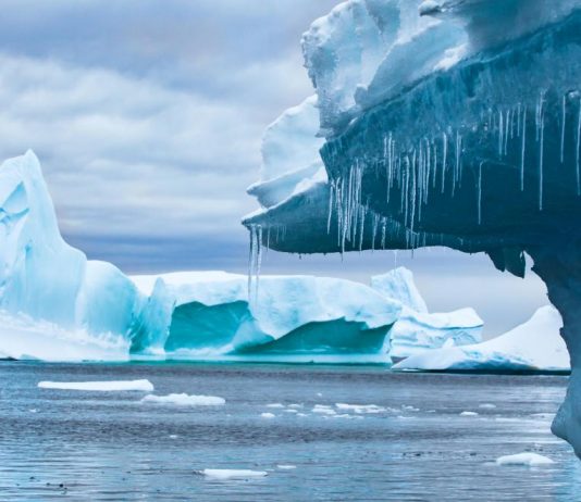Antarctica Hits Record-High Temperature, Report Antarctica Hits Record-High Temperature, Report