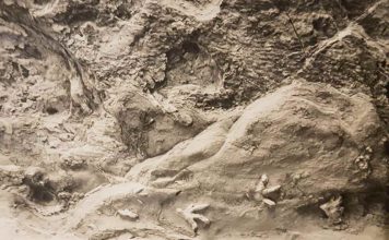 Dinosaur footprints on a cave ceiling (Study) Dinosaur footprints on a cave ceiling (Study)