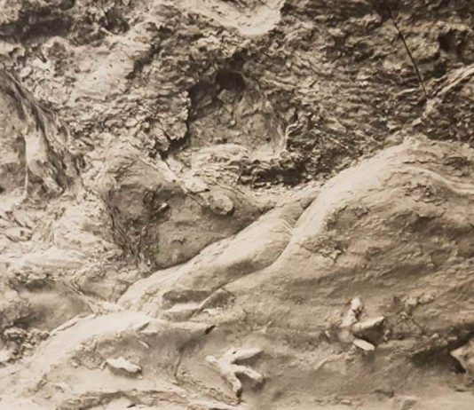 Dinosaur footprints on a cave ceiling (Study) Dinosaur footprints on a cave ceiling (Study)