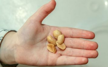 First peanut allergy treatment approved by FD First peanut allergy treatment approved by FD