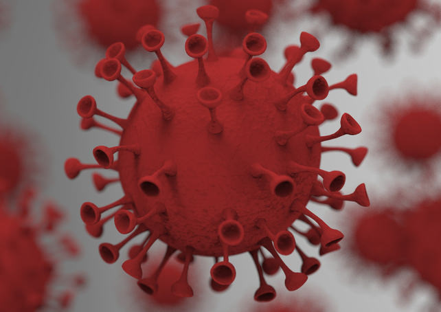 Coronavirus Canada Updates: New Brunswick reports 2 new COVID-19 cases on Boxing Day