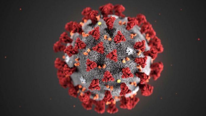 Coronavirus Canada update: 74 confirmed COVID-19 cases in Alberta