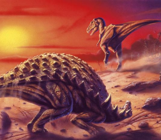 Earth had shorter days when dinosaurs lived, says new research Earth had shorter days when dinosaurs lived, says new research