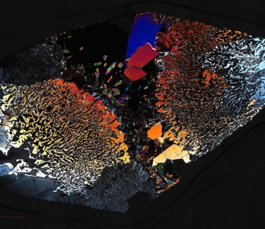 Microbial Life Has Been Found Deep in Earth’s Crust, According to Study Microbial Life Has Been Found Deep in Earth's Crust, According to Study