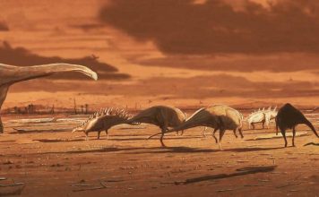 Stegosaurus footprints found on Isle of Skye, Researchers Say Stegosaurus footprints found on Isle of Skye, Researchers Say