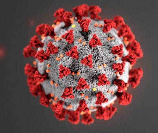 Coronavirus Canada updates: One new case of COVID-19 in Niagara